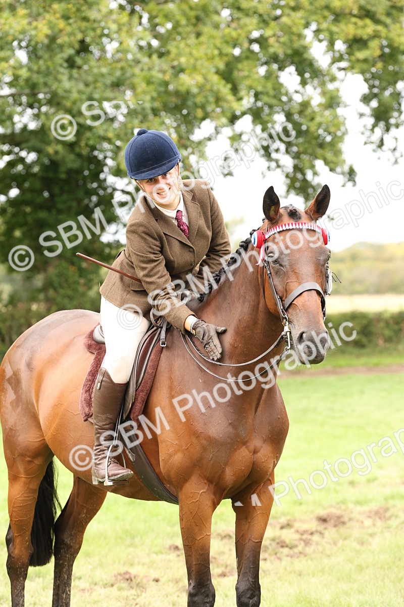 SBM_64300 - S65 - Riding Horse & Hack & Thoroughbred Ridden