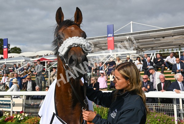 210825-230 Stellar Sunrise - Race 6 4.45pm Mews Hotel Ossett EBF Stallions Nursery Handicap