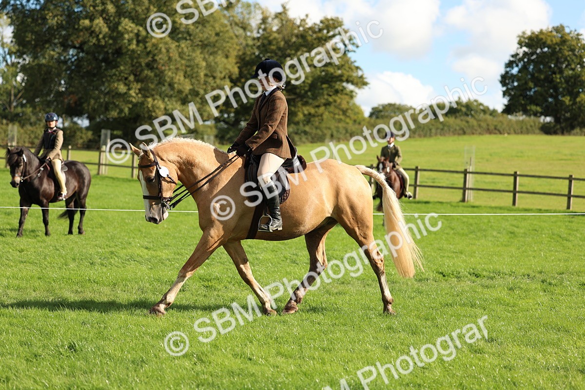 SBM_50080 - S34 - Novice & Newcomers Working Hunter