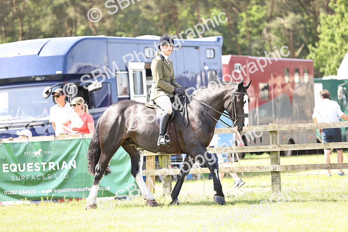 SBM_13682 - Class 77 - LIHS BSHA Rising Star Cobs