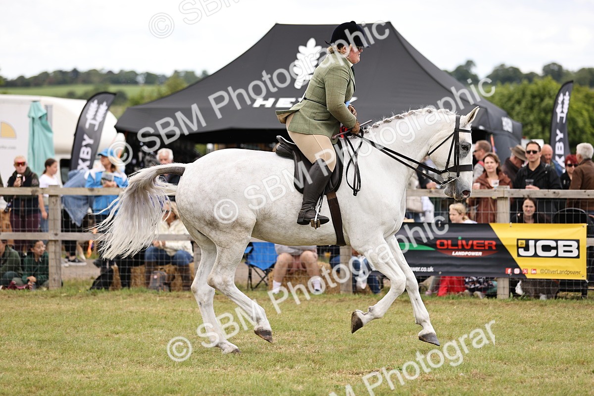 SBM_14833 - Class 88-89 - LIHS BSHA Rising Star of Ridden Hunter Type