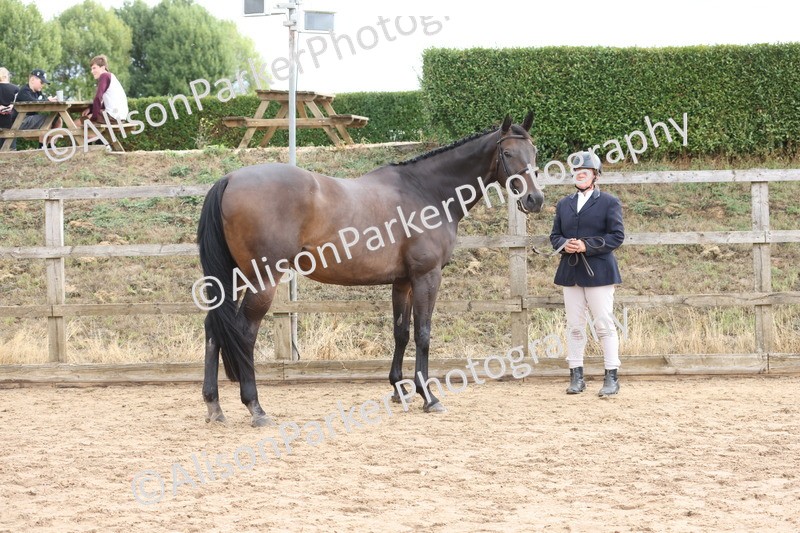 20260831-1918 - Class 5 - Retraining of Racehorses