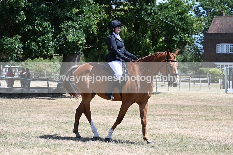 WJ7_2839 - Class 7 Riding Club Show Horse