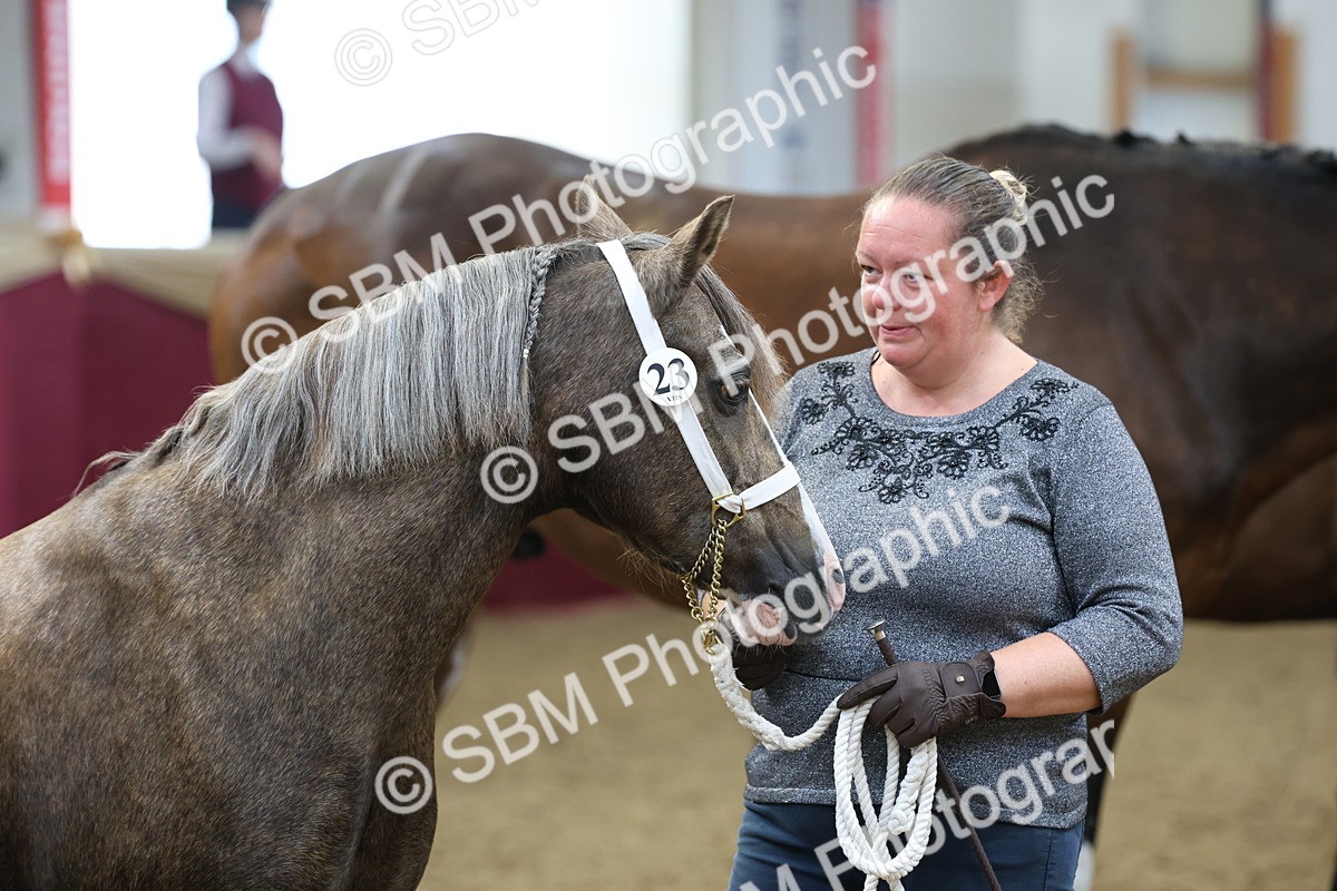 SBM_22471 - Class 902 - Supreme Final - IH Diamond