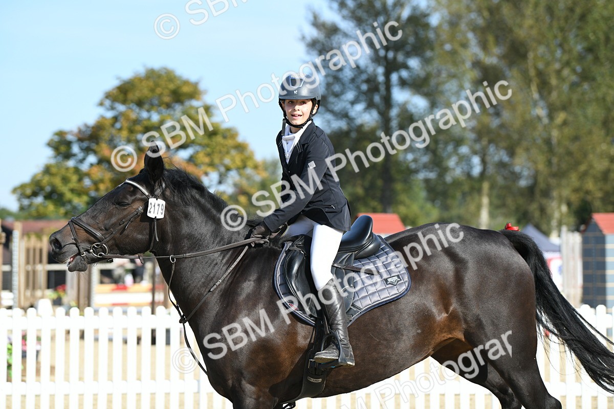 SBM_60549 - j25 - Junior Horse 80cm Championship
