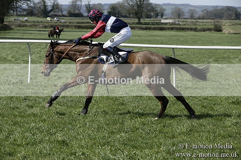 PtP 260317 16 - Mendip Farmers Point-to-Point Ston Easton 26/03/17