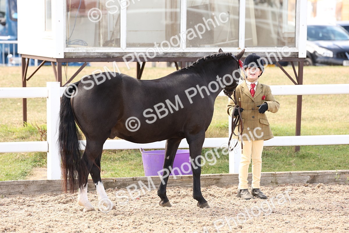 SBM_15052 - Class 209 - IH Veteran Pony
