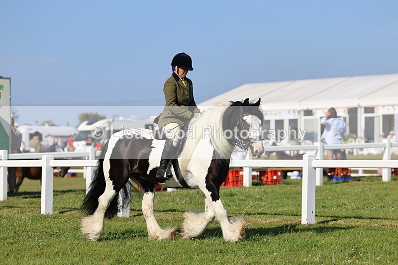 IMG_1467 - Class 30: Ridden Native/Trad Coloured Pony