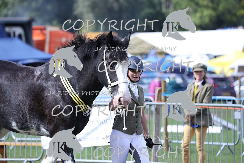 APP_3410 - Class 6 Young Handlers