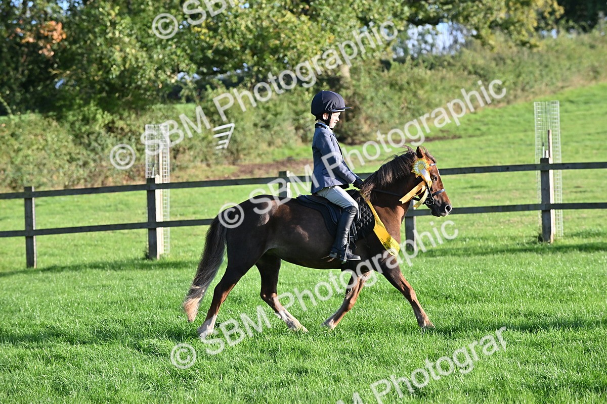 SBM_52321 - First Ridden Supreme Championship