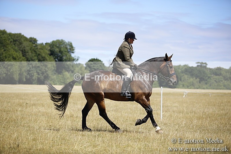 _C7A9861 - BVRC Show 2018 Ring 1