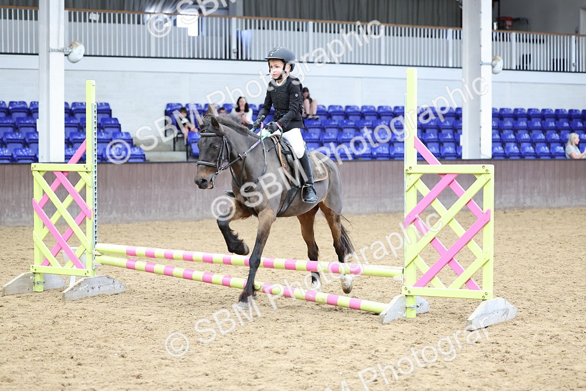 SBM_007404 - Class 2 - 50cm showjumping