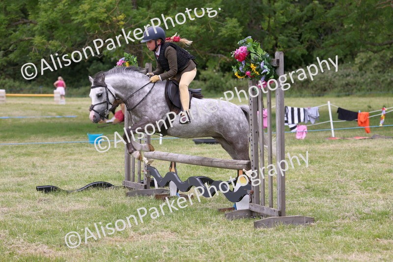 20260614-3125 - Class 22 - Open Working Hunter