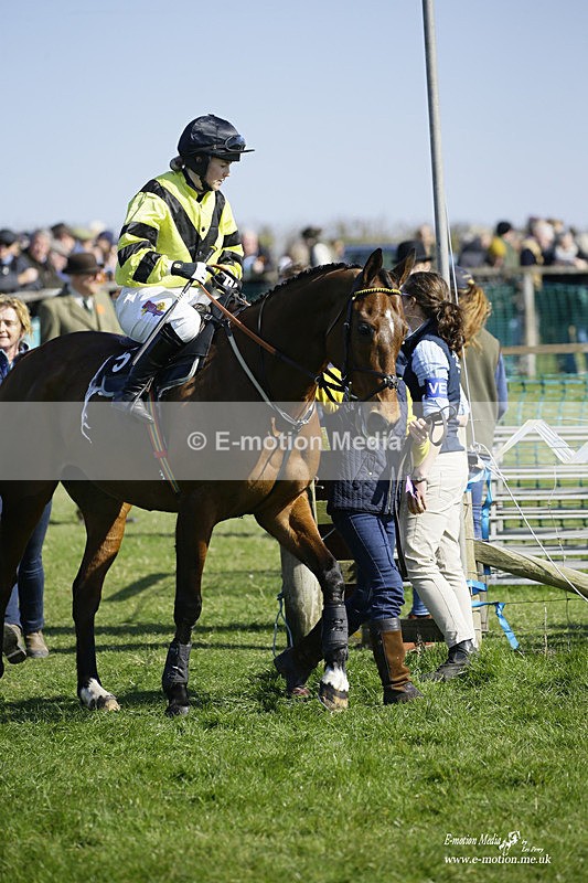 PtP 190322 363 - Wilton Hunt PtP Milborne St Andrew 19/03/22