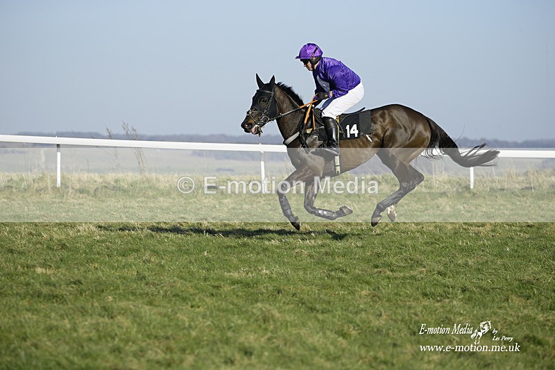 PtP 270222 296 - South & West Wilts Point-to-Point Larkhill 27/02/22