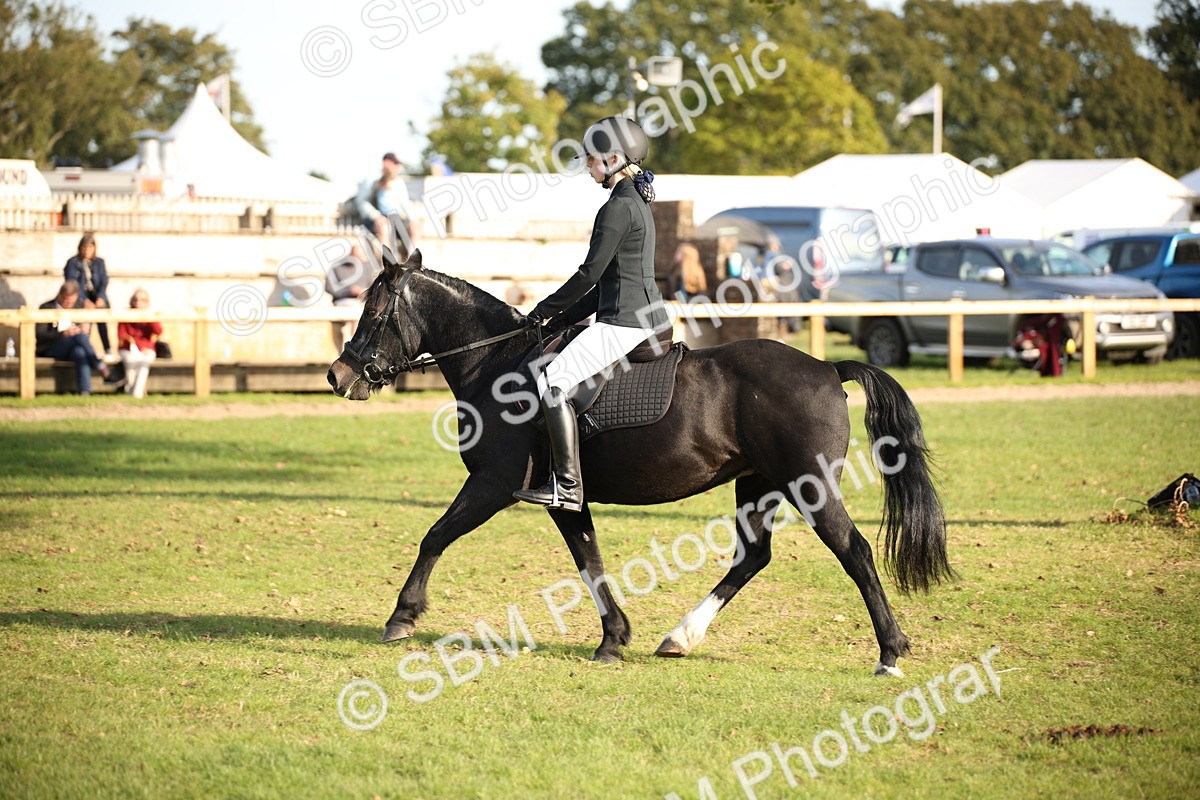 SBM_54317 - S27 - Mature Veteran - Ridden