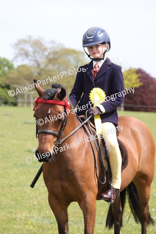 20260426-4017 - Class 33 - Best Pony 14.2hh and Under