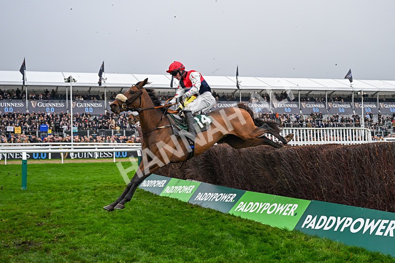 151125-Race 2-Imperial Alex-2876 - Race 2