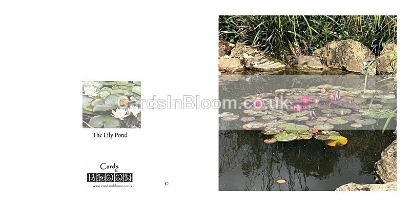 05 A New Dawn - A NEW DAWN