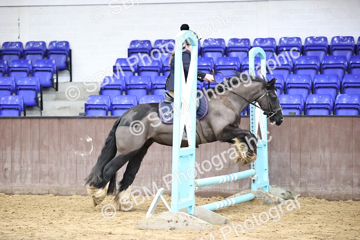 SBM_000308 - Class 2 - 50cm