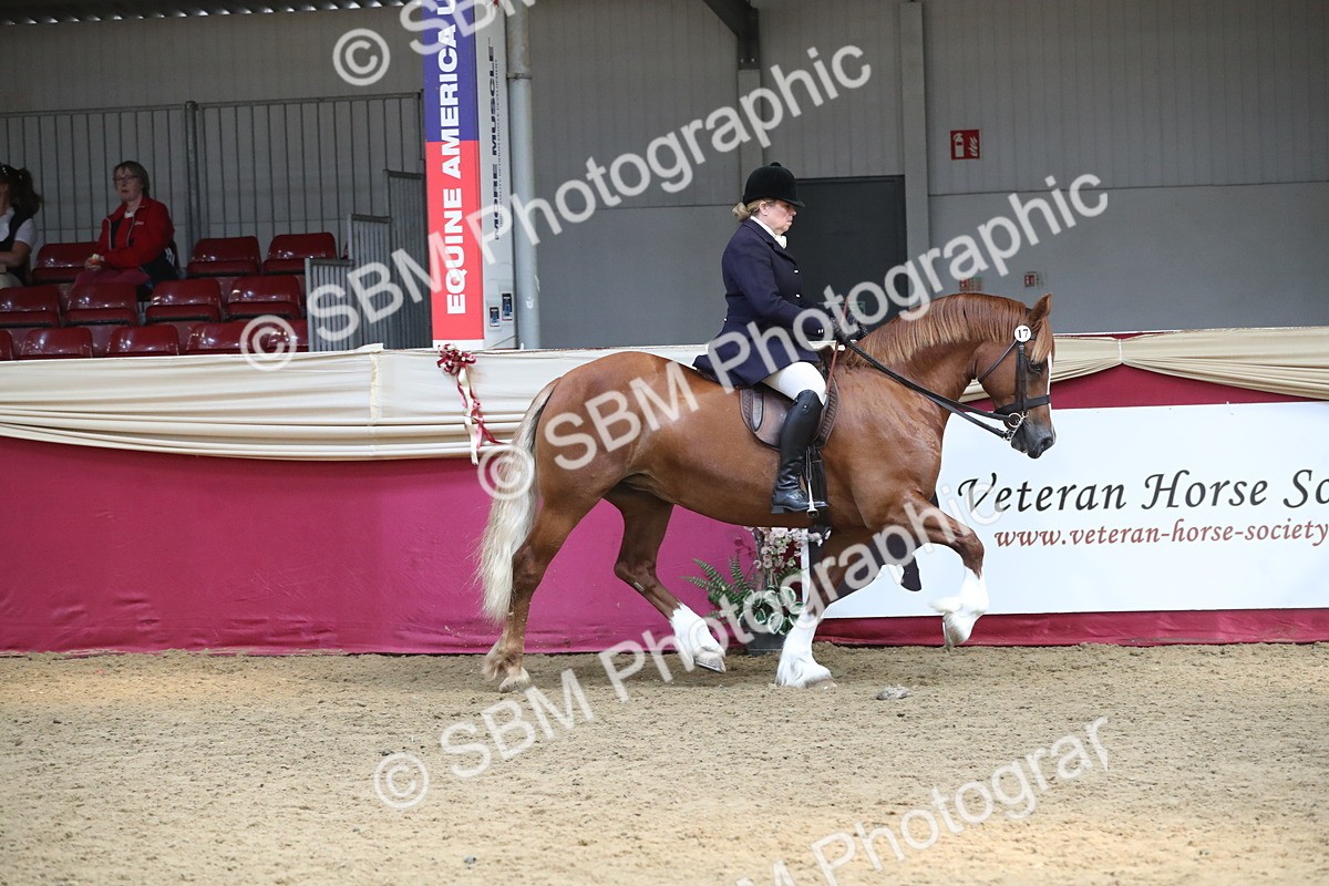 SBM_16307 - Class 502 M&M Ridden Supreme Final