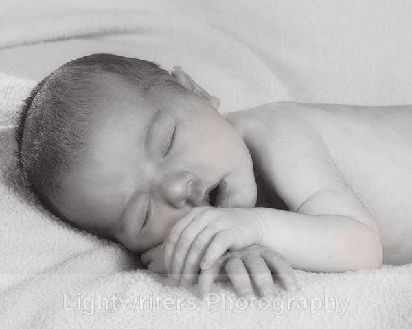 Willow 3 - Willow