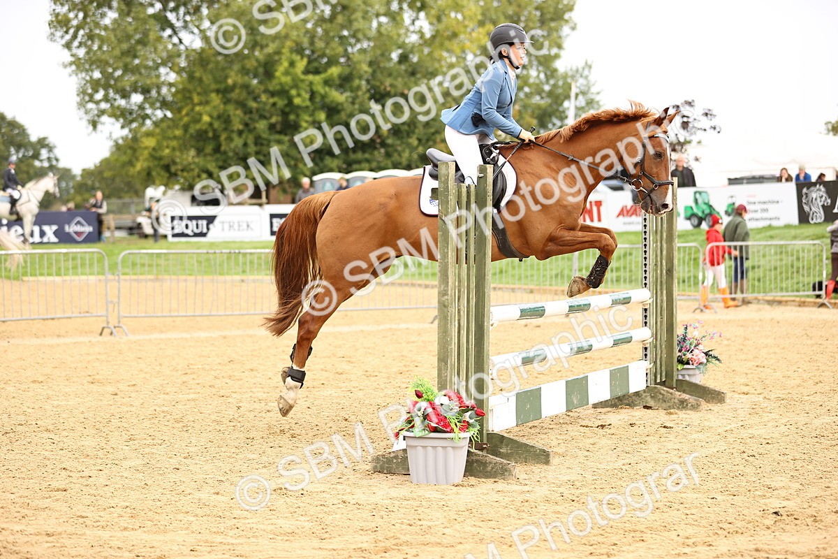 SBM_58538 - J41 - Grand Tour Horse & Pony 95cm