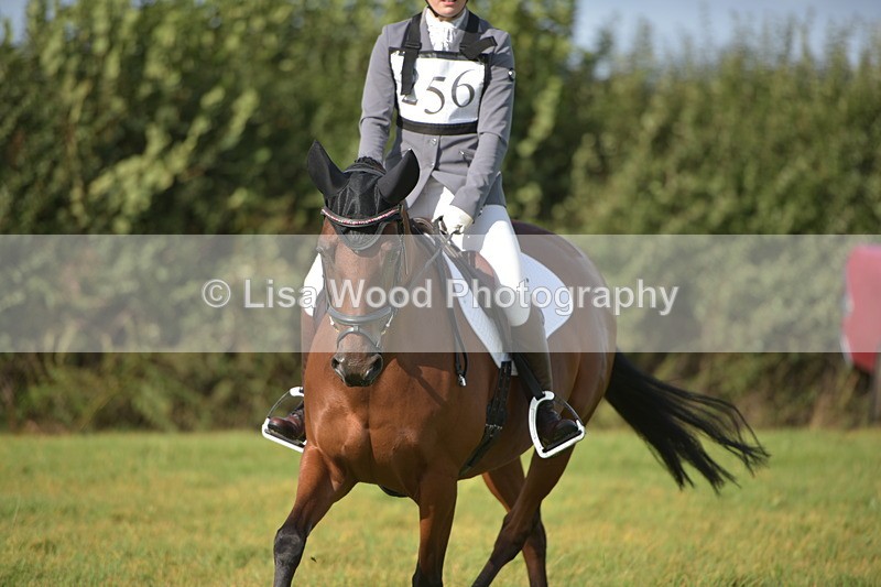 RAY_7525 - Class 2B: Trekenning Open: Dressage