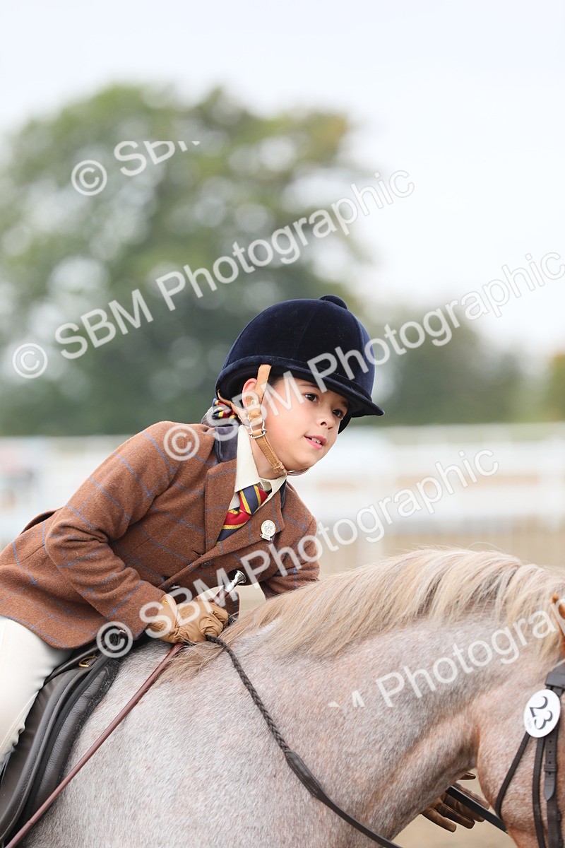 SBM_21830 - Class 806 - Young ridder 10 Yr & Under