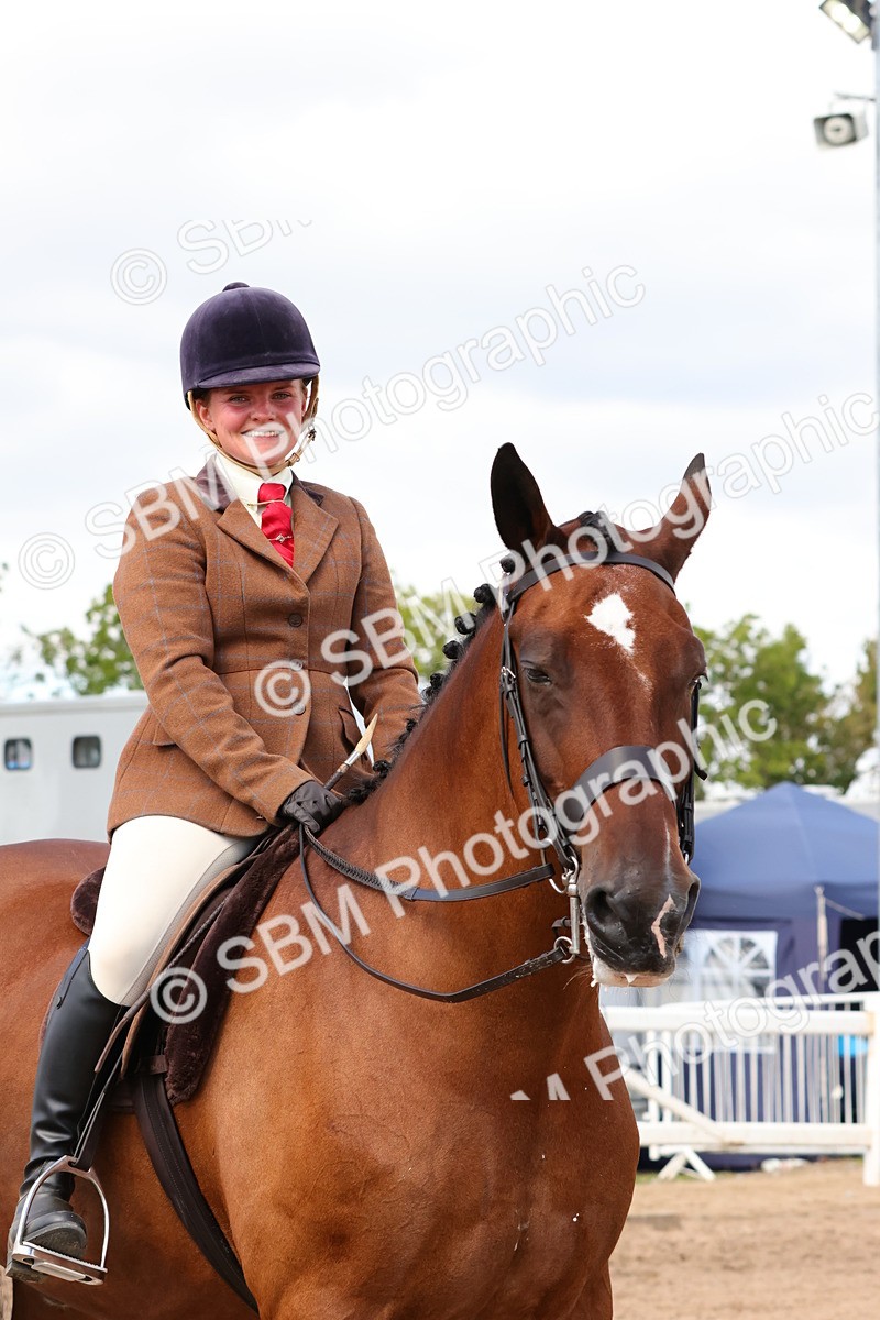 SBM_13549 - Class 212 - Ridden Hunter  - Large