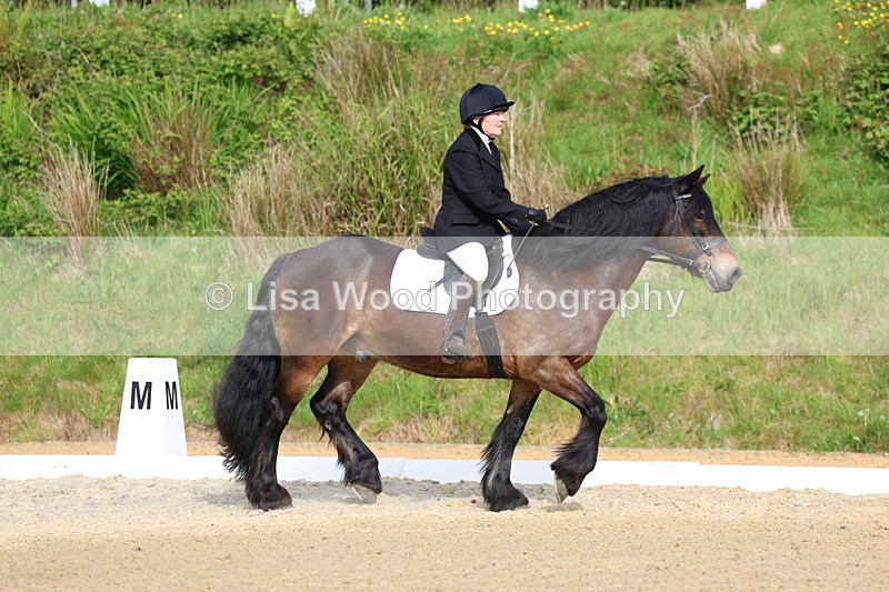 3E7A3319 - Class 2: INTRO B- INTRO 3 2024