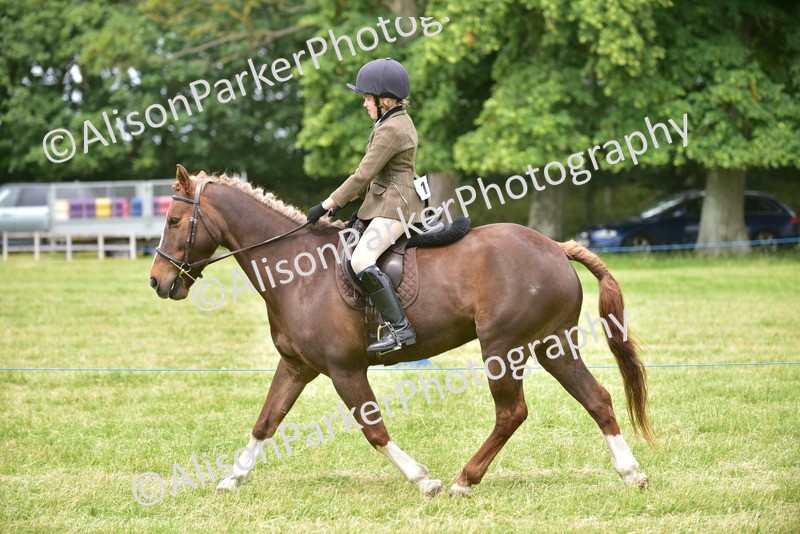 20260614-2673 - Class 13 - Pony Club Pony
