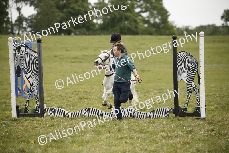 20250517-0119 - Class 1 - 30cm On Lead Rein