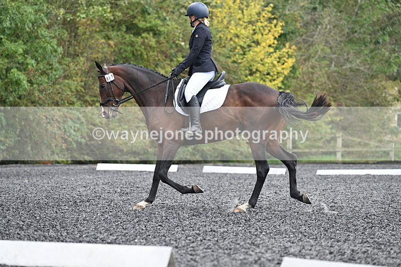 WJ7_3818 - Time 11:04 to 11:38