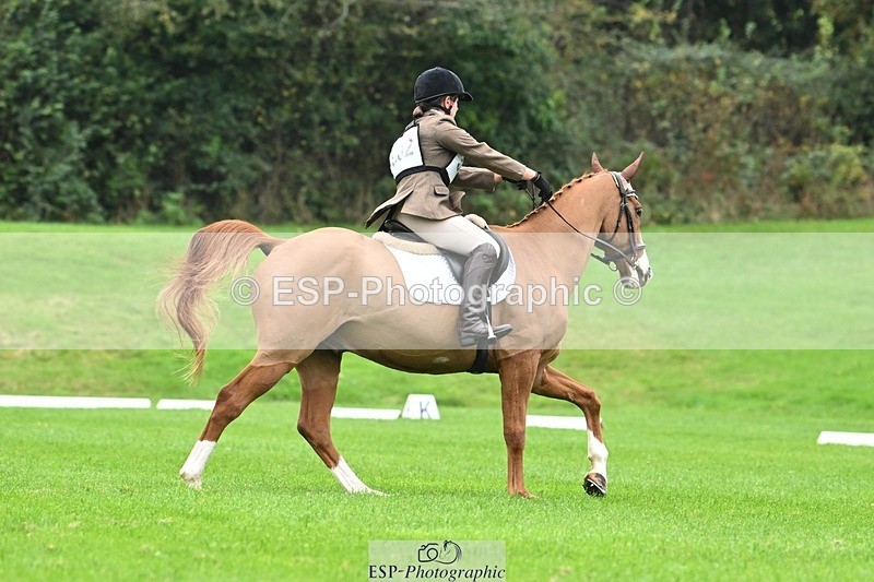 241024-105853-03110 - 502-Alison.Stewart-RICO.III