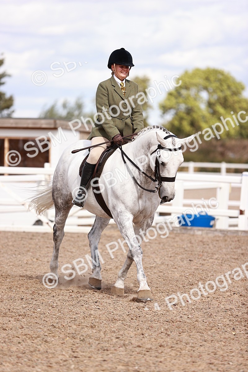 SBM_14451 - Class 410 - Grassroots Ridden - Horse