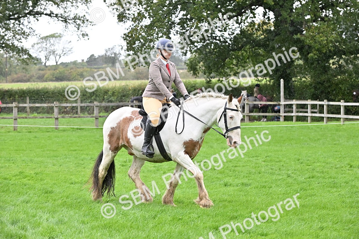 SBM_42966 - S12 - Family Horse & Pony