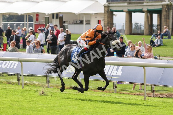 yr24092021r1-112 - Race 1 1.10pm Ernest Cooper Macmillan Ride of Their Lives