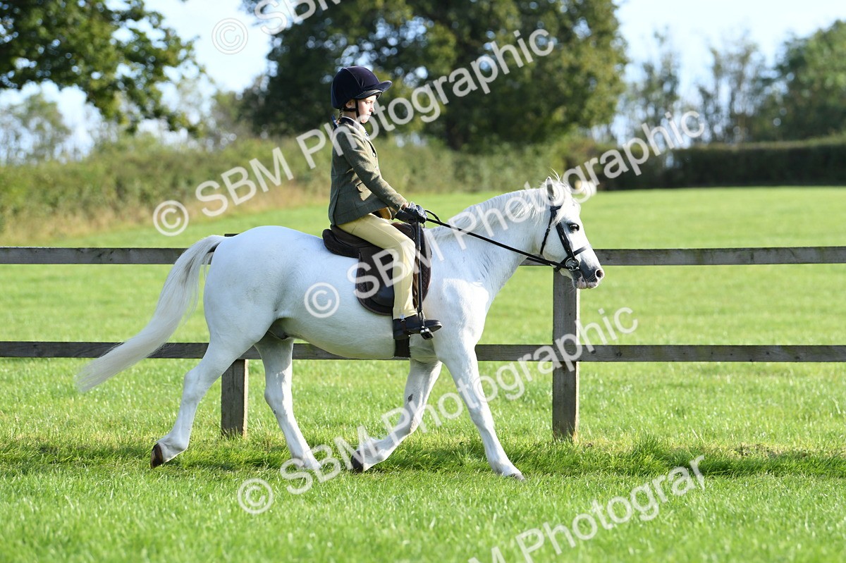 SBM_53992 - S23 - 1st Ridden Mountain & Moorland Pony