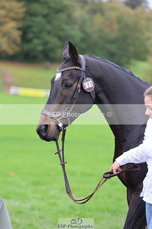 251026A-104736-23280 - F-402-Bethany.Hall