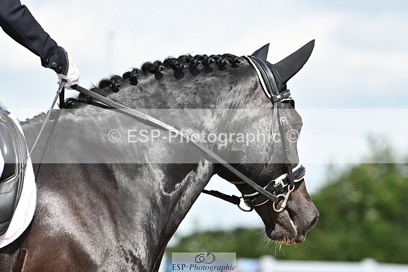 240621A-111347-01930 - Cls 4 BD Novice 22