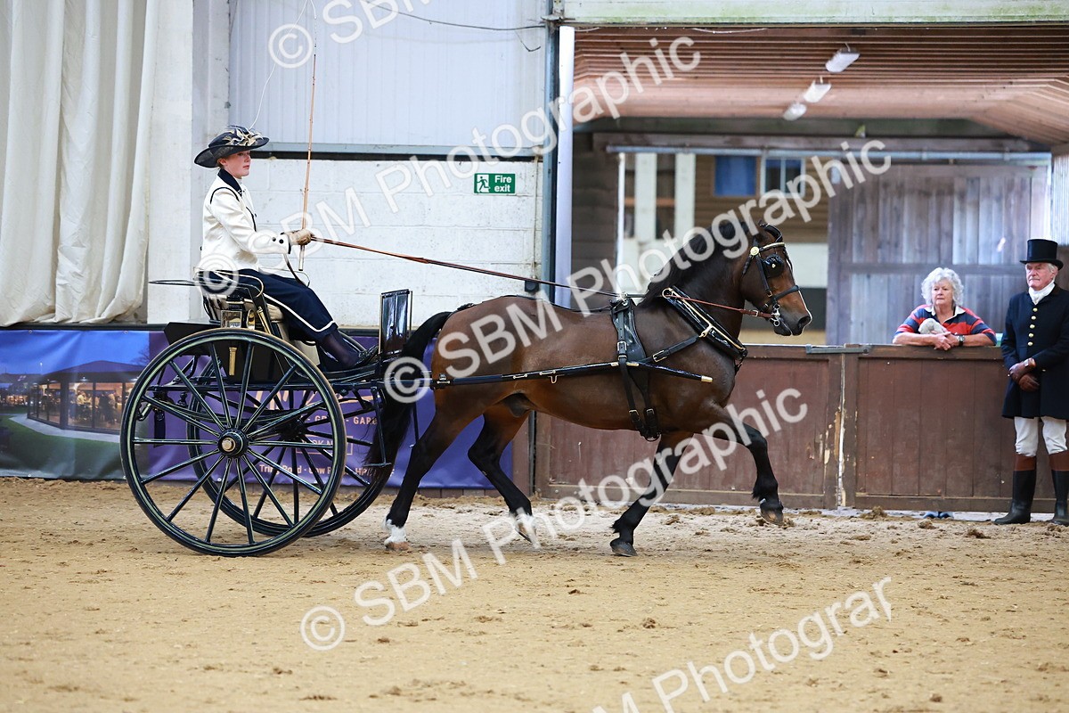 SBM_000172 - Class 3 - Alison Thomas Memorial Lady Whip