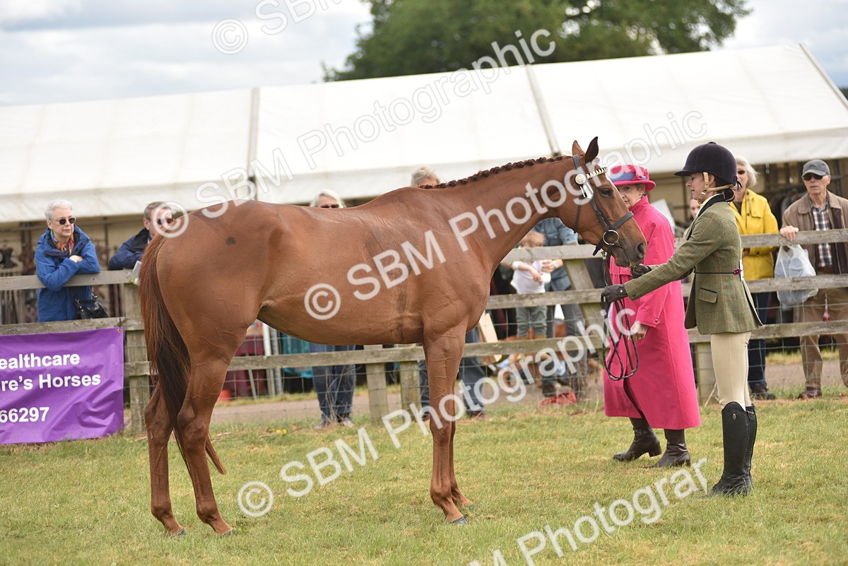 SBM_15121 - Class 113-114 - Retraining of Racehorses Ridden