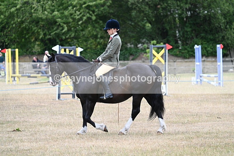 WJ7_0459 - Class 6 Ridden Mountain and Moorland