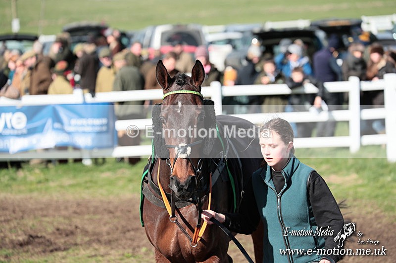PtP 230324 637 - Tedworth Hunt PtP Larkhill Raccourse 23rd March 2024