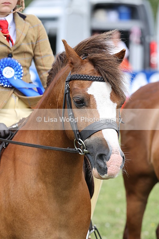 JPP_1653 - Cornish Combination Championship