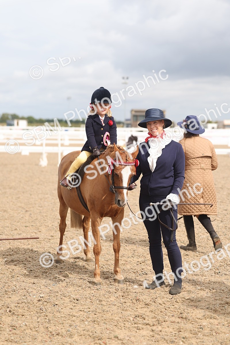SBM_04589 - Class 19 - Horse/Pony Judge would most like to take home