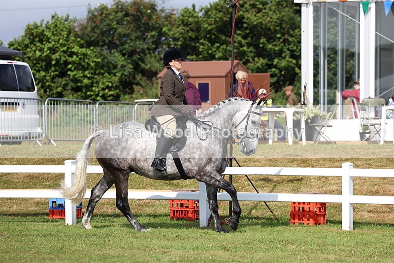 3E7A8815 - Class 3: Rising Star S/L Hunter