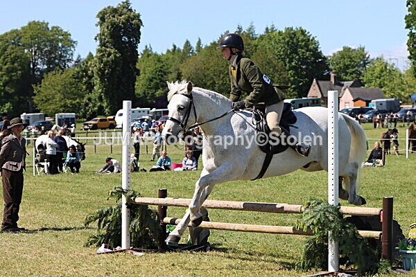 IMG_3854 - Working Hunter