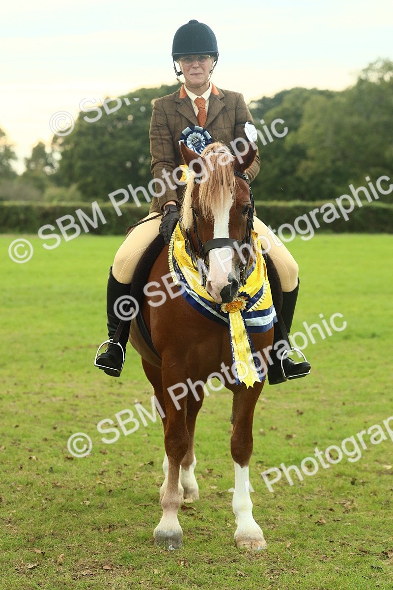 SBM_75311 - Super Supreme Championship